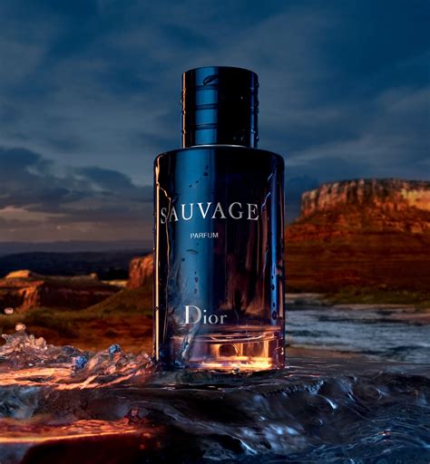 prada sauvage cologne|sauvage perfume dior.